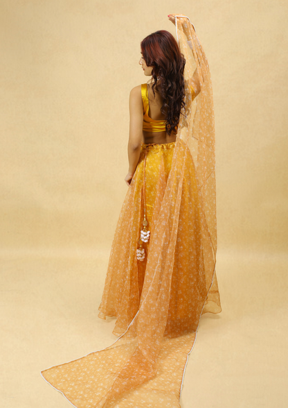 Daffodil Lehenga